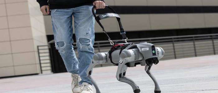 Дослідники розробили робособаку-поводиря на штучному інтелекті