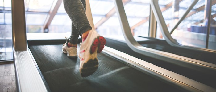 Вчені виявили нейронний ланцюг у головному мозку, який підвищує фізичну витривалість у мишей