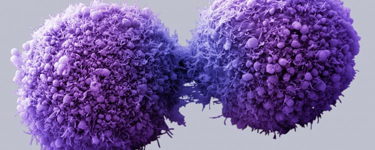 Затверджено перші в історії випробування на людях CRISPR редагування