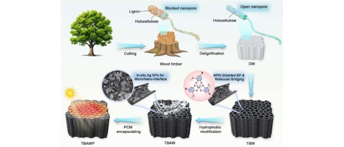 Модифікована деревина забезпечує сонячну енергію навіть після заходу сонця