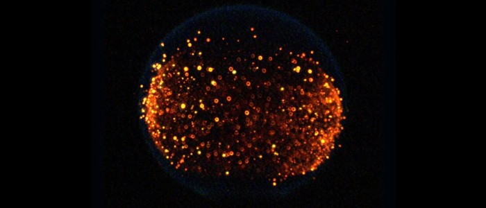 NASA планує запалити вогонь на Місяці в рамках першого у своєму роді експерименту