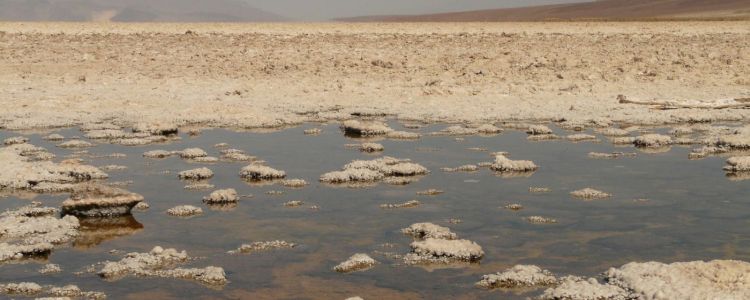 Втрата арктичного морського крижаного покриву може торкнутися мільйонів людей у всьому світі