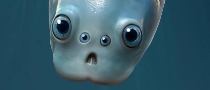 Найдавніші відомі хребетні у світі мали дві пари очей