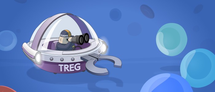 Вони з'ясували, як контролюється імунна система