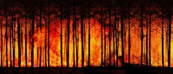 Пожежа в Чорнобильській зоні виділяє велику кількість радіації