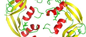 Штучний інтелект створив білки, які раніше ніколи не бачили