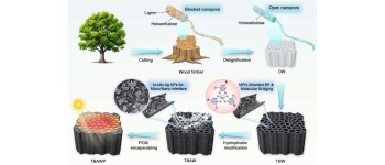 Модифікована деревина забезпечує сонячну енергію навіть після заходу сонця