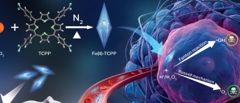 Новий наноматеріал на основі заліза знищує ракові клітини, не ушкоджуючи здорові тканини