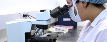 Нові дослідження можуть пояснити походження складного життя на Землі