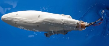 Робот-риба плаває за допомогою гнучкого електромагнітного плавця