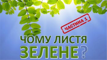 Чому листя зелене, частина 1