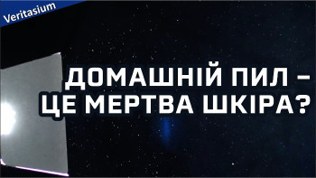 Домашній пил – це переважно мертва шкіра?