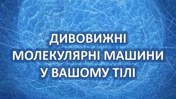 Дивовижні молекулярні машини у вашому тілі