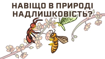 Навіщо в природі існують надлишкові копії? 