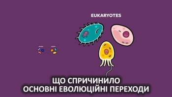 Що спричинило основні еволюційні переходи