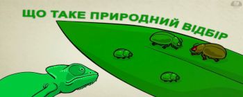 Що таке природний відбір