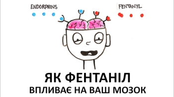 Як фентаніл впливає на ваш мозок